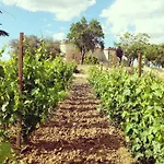 호텔 Real Castillo Del Buen 4*