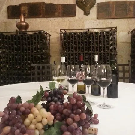 Real Castillo Del Buen 4* Topas
