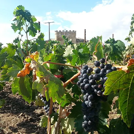 Real Castillo Del Buen Topas