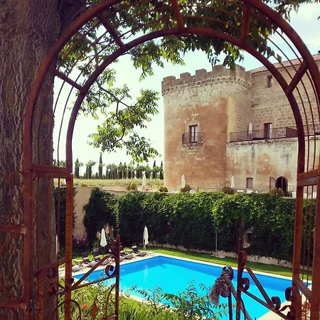 Real Castillo Del Buen 4* Topas