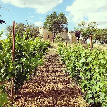 Hotel Real Castillo Del Buen 4*