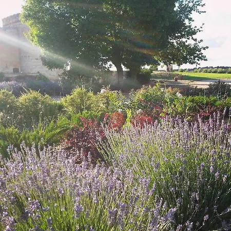 Hotel Real Castillo Del Buen Topas