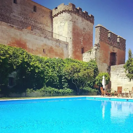 Real Castillo Del Buen Topas