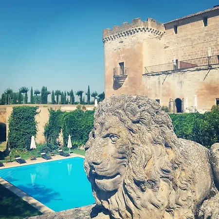 Real Castillo Del Buen 4* Topas
