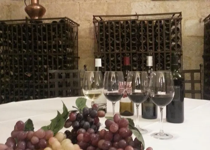 Real Castillo Del Buen 4* Topas