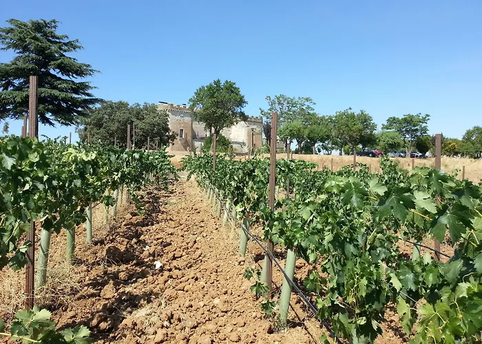 Real Castillo Del Buen Hotell