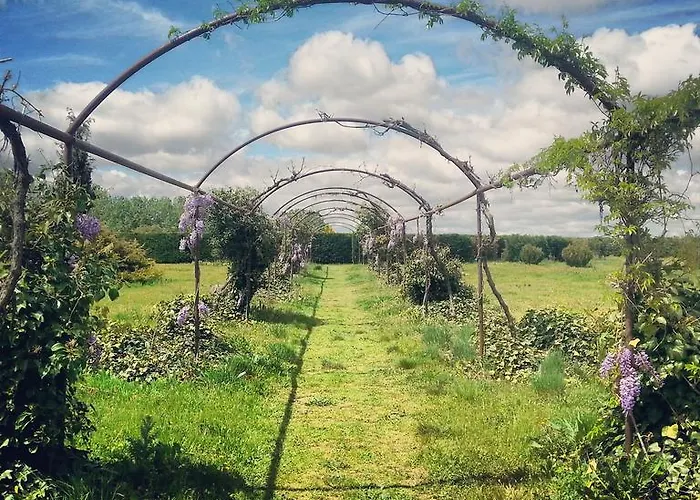 Real Castillo Del Buen 호텔 4*