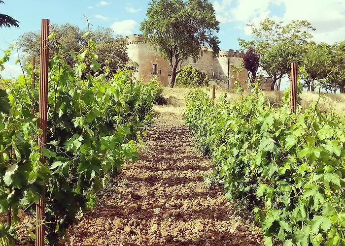 Hotell Real Castillo Del Buen 4*