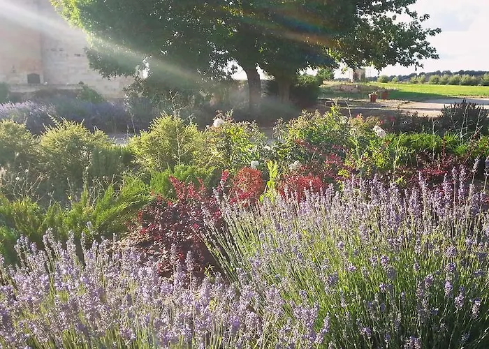 Hotell Real Castillo Del Buen Topas