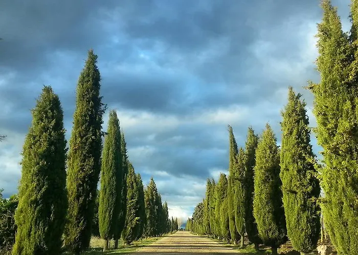 Real Castillo Del Buen Topas